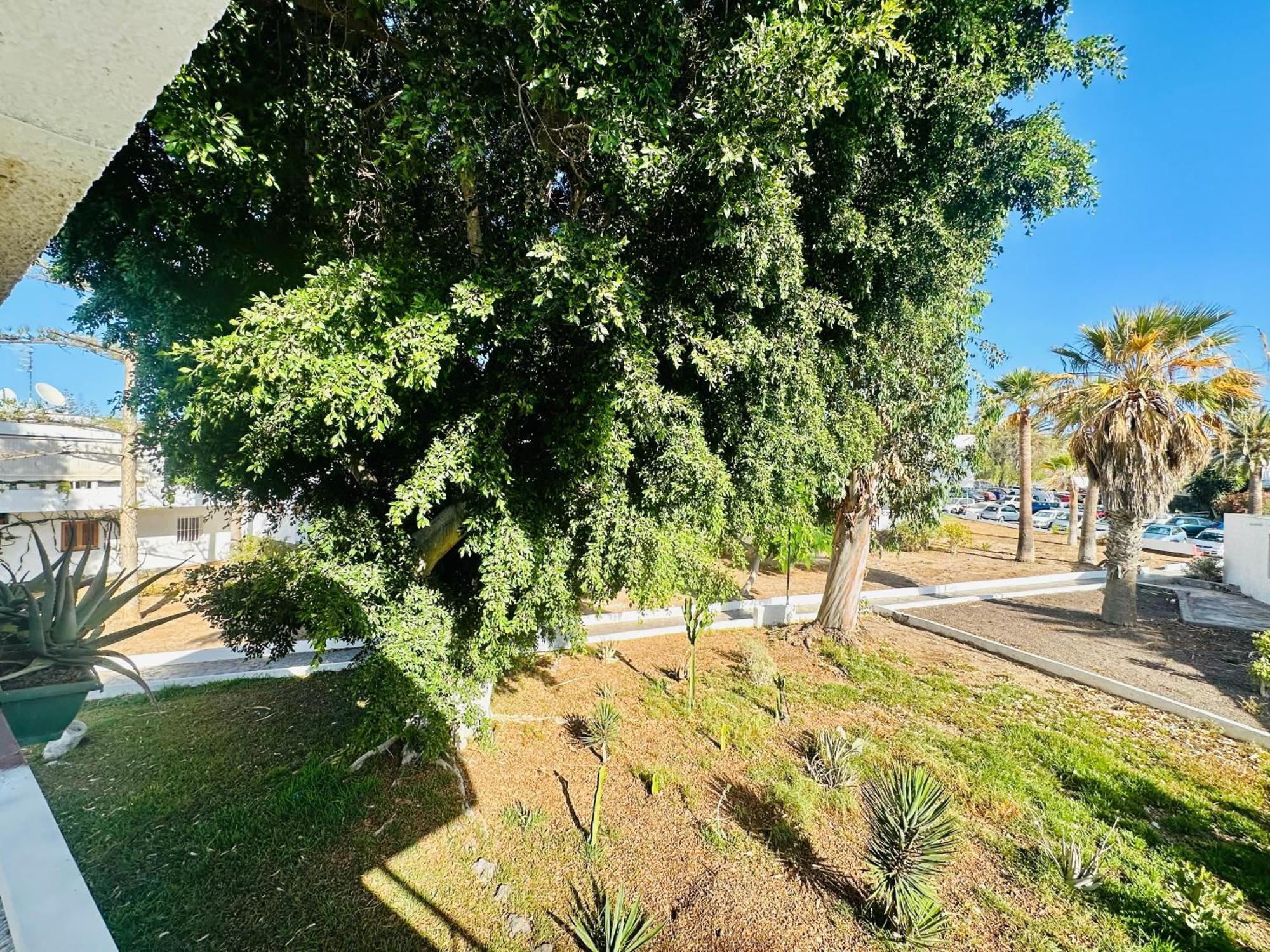 Apartamento Eureka Costa Del Silencio Exterior photo